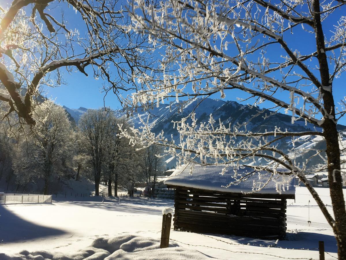 Johannahof Appartements Kaprun Luaran gambar